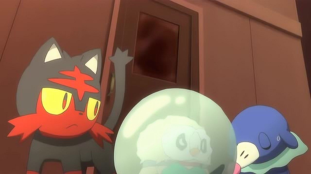 神奇宝贝:火猫宝可梦