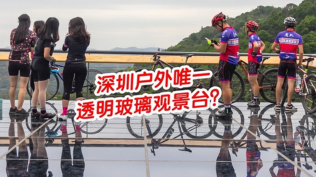 深圳户外透明玻璃观景台!羊台山新绿道开通,全线徒步约20km