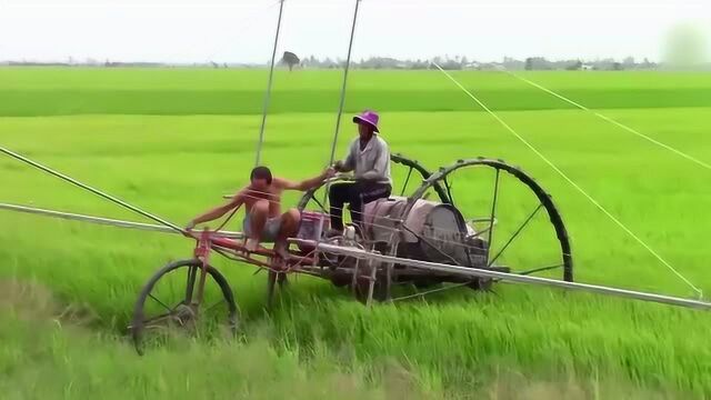 顺手自制的高效三轮喷雾车,配上长喷杆,作业效率能顶十个人手