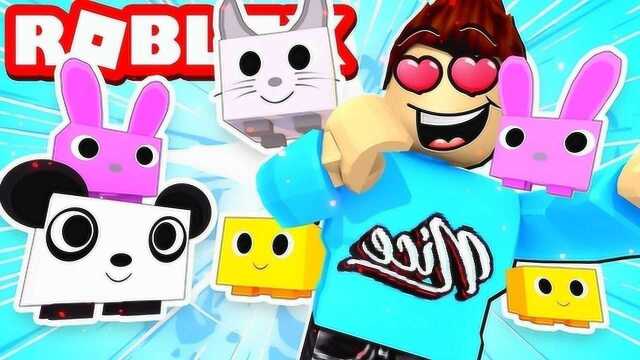 小飞象解说 Roblox宠物牧场 我抽到了凤凰?农场都被塞满了!