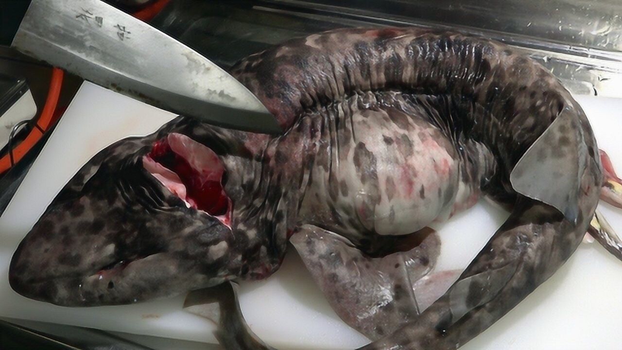 深海花斑怪物鱼,表皮黏腻肉质细嫩,看日本小伙是怎么做的