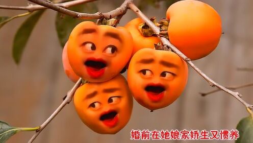 爆笑改编柿子版《媳妇难当》，柿子的表情太搞笑了！