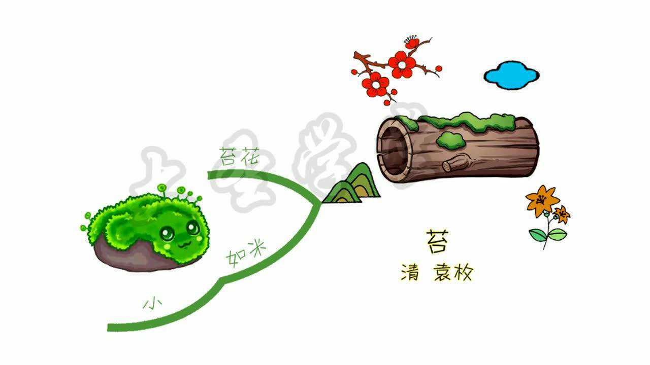 思维导图—苔
