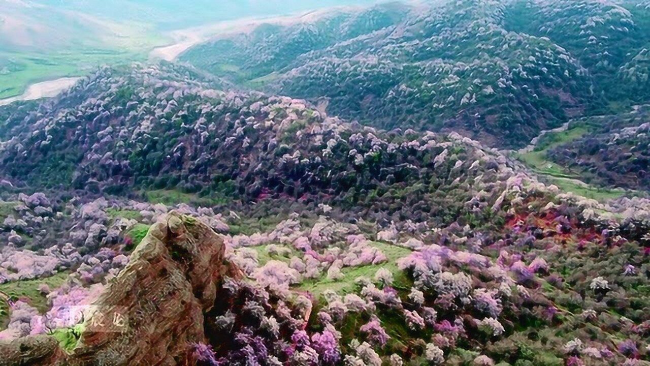 航拍伊犁杏花沟——中华福寿山