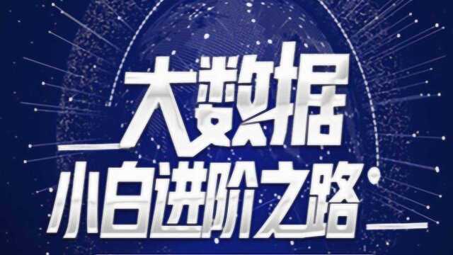 大数据学习生态组件开发大文件离线计算完整实战项目