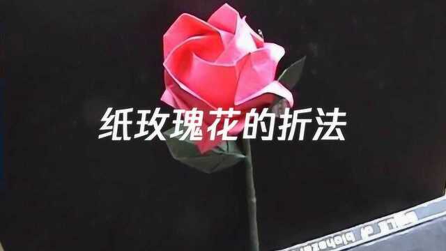 纸玫瑰花的折法,折纸玫瑰