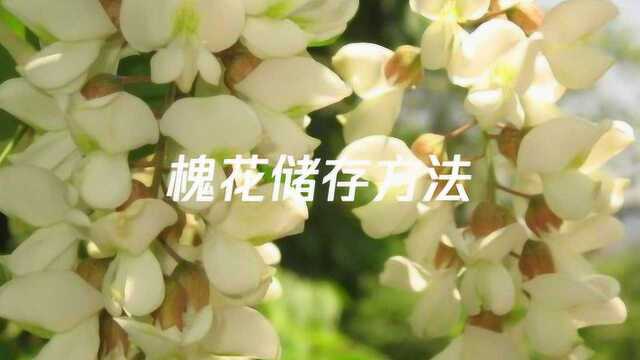 槐花储存方法,槐花怎么保存