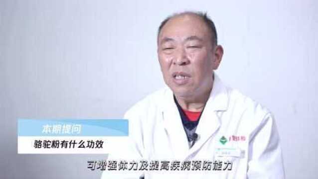 骆驼粉有什么功效,不妨来了解一下