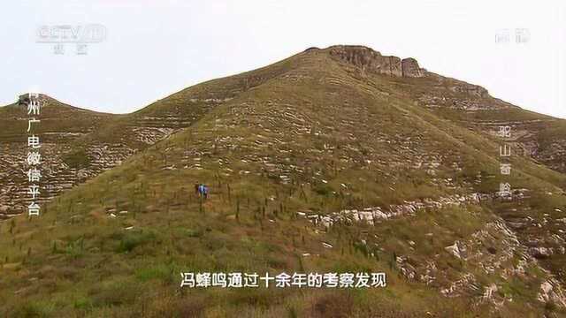 青州驼山奇岭