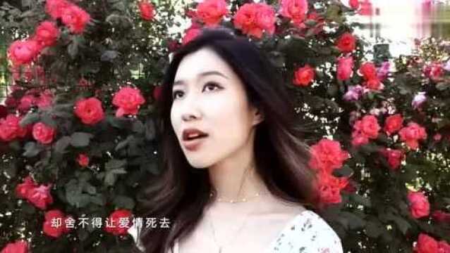 吴映香Lucia的微博视频