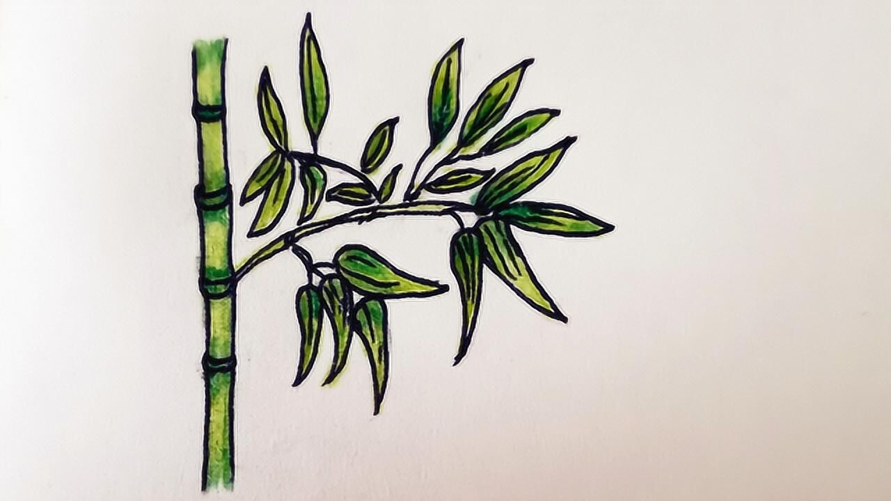 彩铅简笔画绘制一节竹子