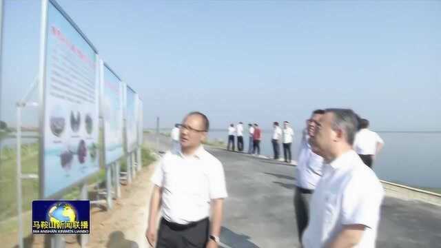 张岳峰赴博望区调研毗邻地区对接南京工作开展情况