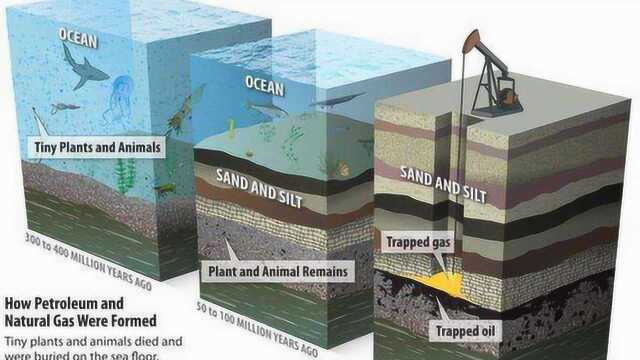 地球上的石油,到底是怎么形成的?