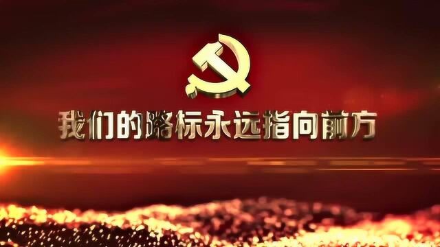 党旗高高飘扬——西安外事学院党建纪实