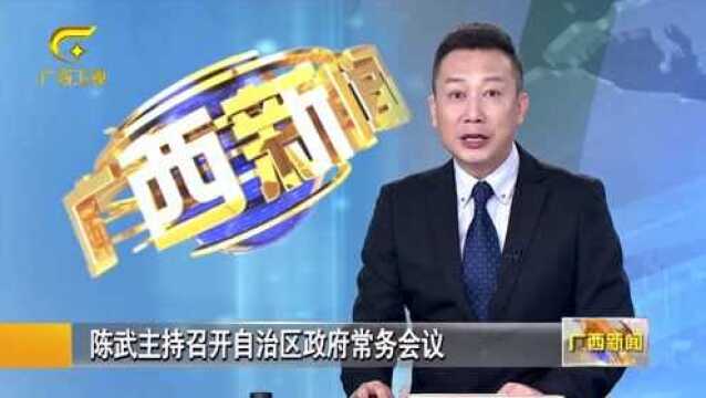 陈武主持召开自治区政府常务会议