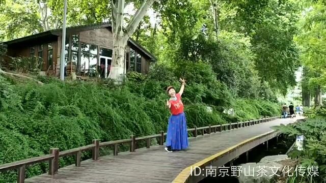 《旅游笔记视本》系列:玄武湖新气象