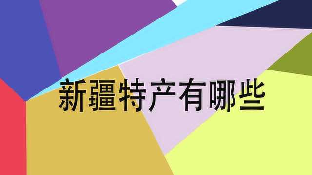 新疆的美食特产都有哪些