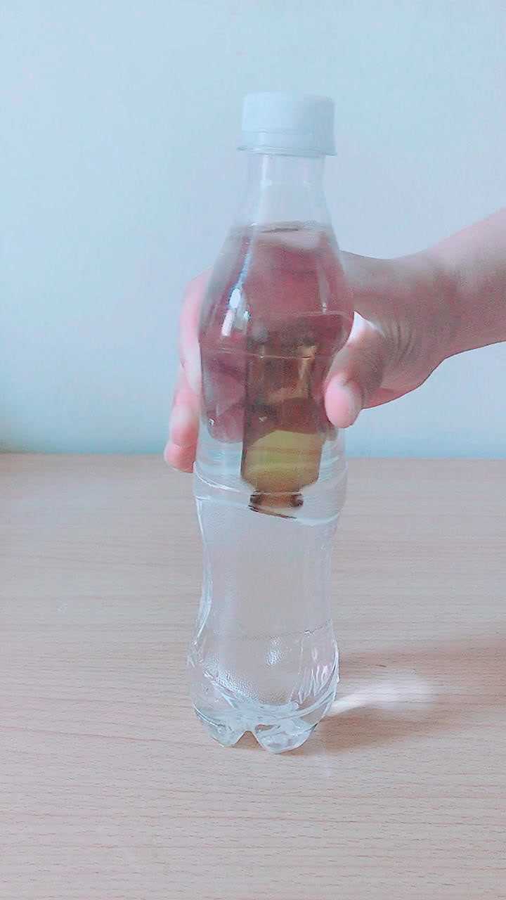 在家就能做的小实验制作浮沉子在水中上蹿下跳的小瓶