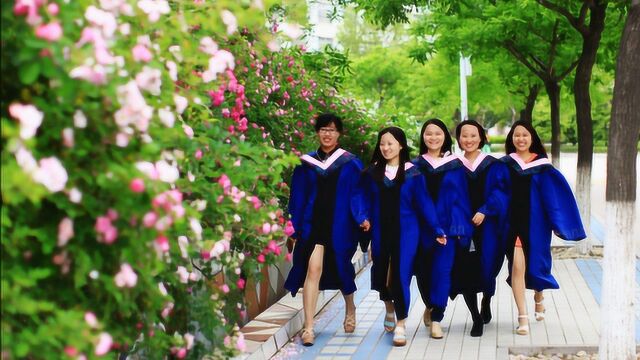 对比一下,山东大学跟中南大学哪个更好?怎么选才是最好的选择?