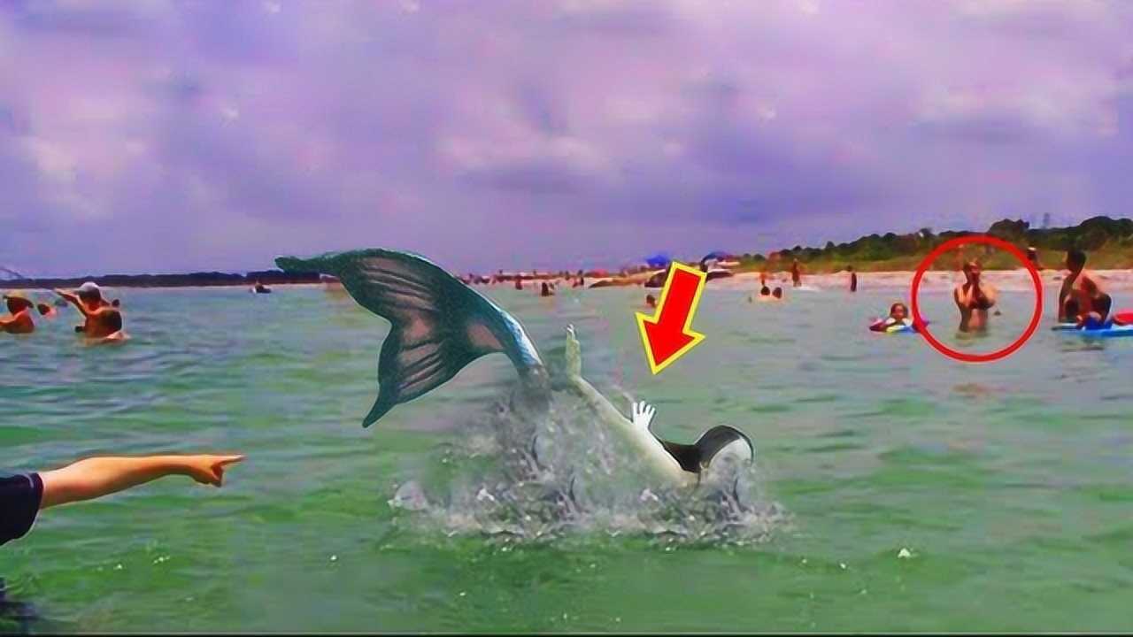 5个世界上最真实的美人鱼目击事件深海恐惧症者慎入