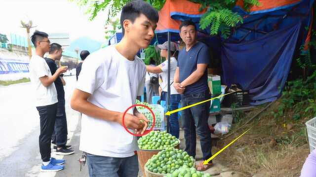 在贵州乡村行走,路边发现很多卖空心李的,15块钱一斤贵吗?