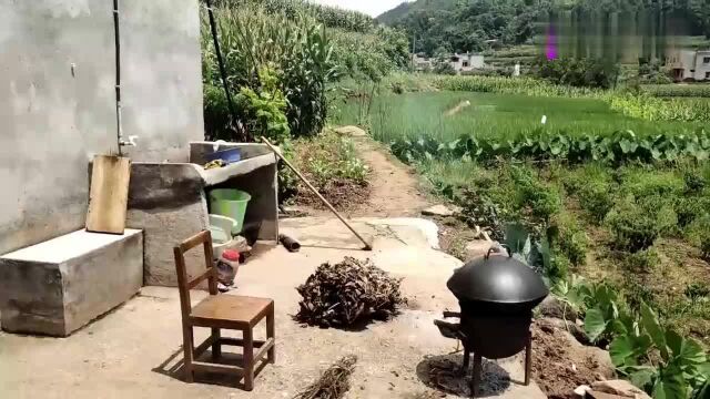 农村美食系列:天气变热,清蒸一条裸斑鱼,好吃下饭家人都爱吃