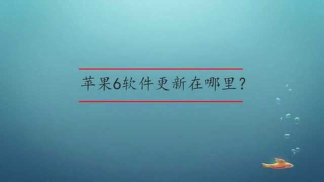 苹果6软件更新在哪里?