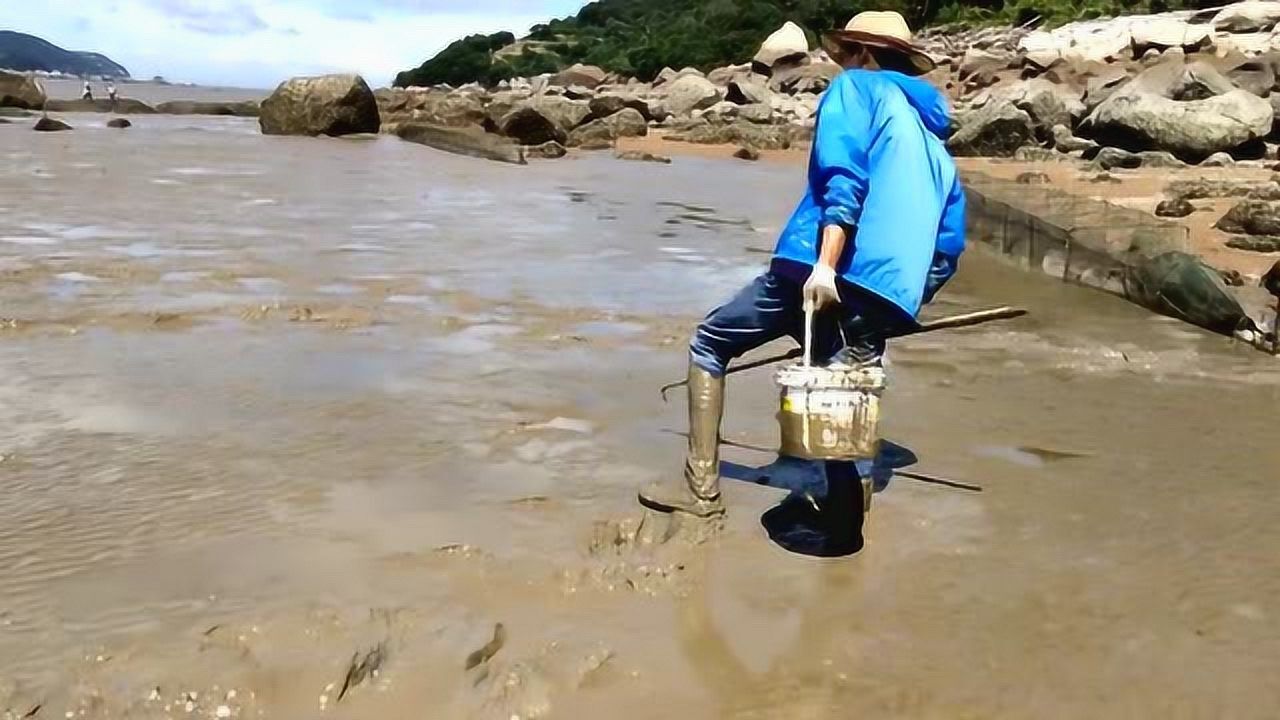 帶一把長鉤趕海,大退潮勺子又來抓青蟹,趕海真有趣!