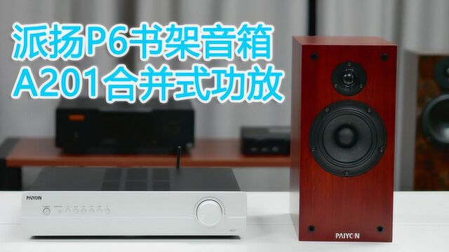 派扬P6、A201音响组合 犹如艺海拾贝 怪不得称为人声毒物