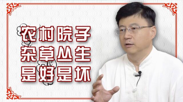 农村院子杂草丛生是好是坏?这些常识要知道,关系到家庭的运势