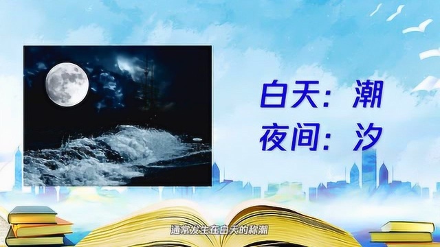 海水涨潮和落潮是什么引起的