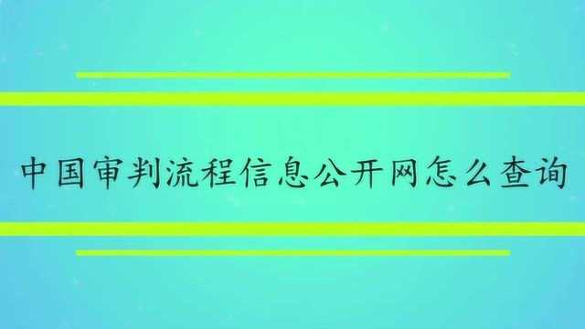 中国审判流程信息公开网怎么查询