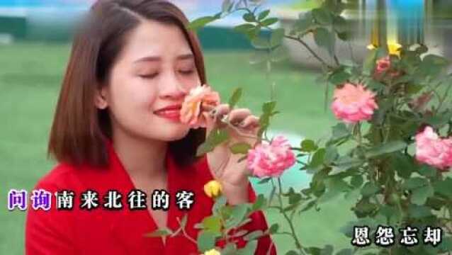 经典歌曲:《渴望》原唱毛阿敏,凄美忧伤,唱尽悲欢离合!