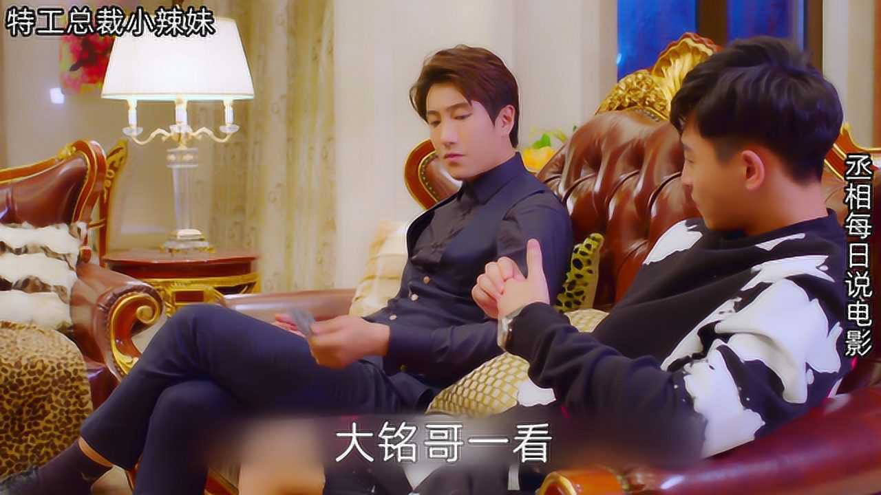 沙雕霸道总裁,《特工总裁小辣妹》,看得我吐血解说不下去了