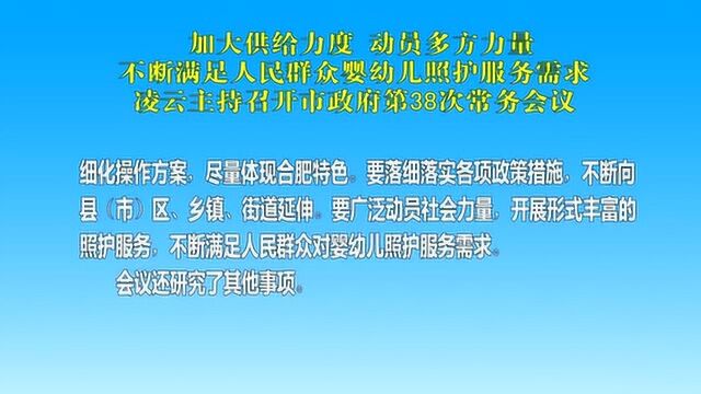 凌云主持召开市政府第38次常务会议