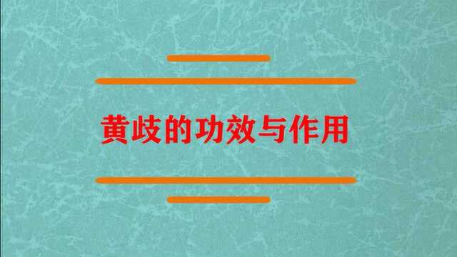 中药黄芪的作用与功效有哪些?