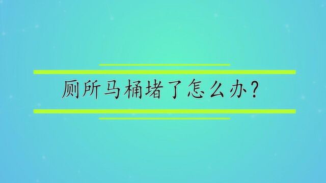 厕所马桶堵了怎么办?