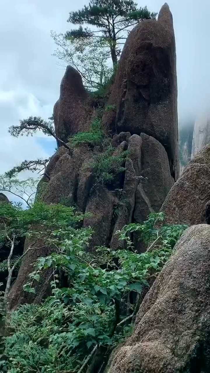 黄山蓬莱三岛图片