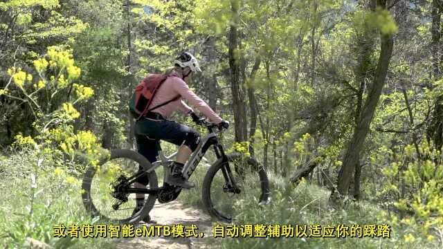 Trek丨崔克电助力山地车 2020款 Rail 官方介绍