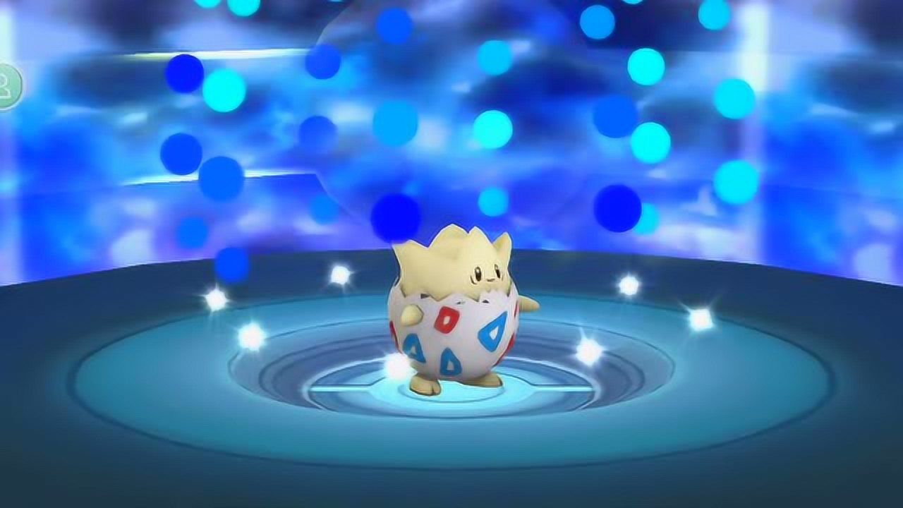 宠物小精灵进化系列:小霞的宠物精灵波克比