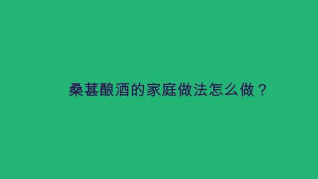 桑葚酿酒的家庭做法怎么做?