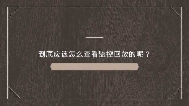 到底应该怎么查看监控回放的呢?