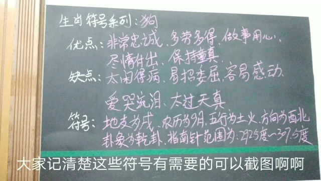 提升一个层次,认清一个生肖,12之戌狗:非常忠诚 容易感动