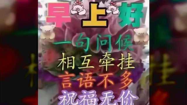 最新暖心早上好问候语阳光句子 微信清晨祝福语图片