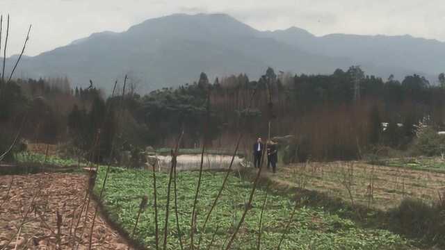 如何在四川雅安大山寻找风水宝地,风水大师王君植现带弟子看风水