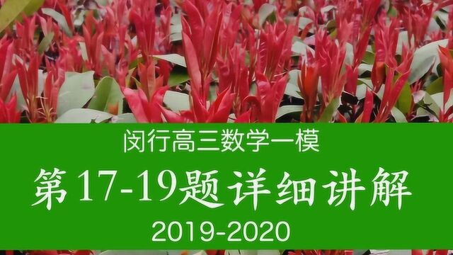 上海闵行高三数学一模(三)第1719题详细讲解20192020