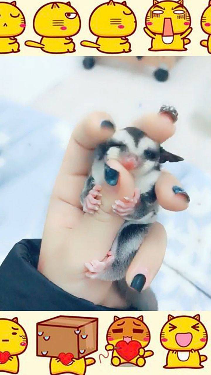 ۴ɰ