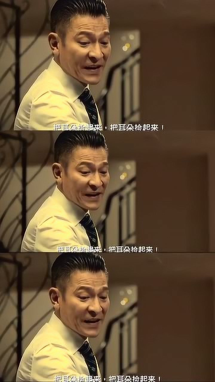 追龙刘德华少说两句把耳朵捡起来的豪横眼神杀超赞