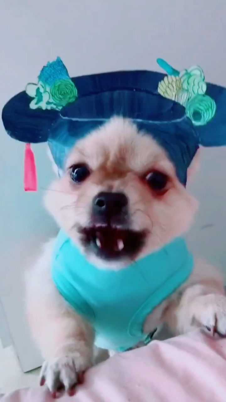 腾讯视频