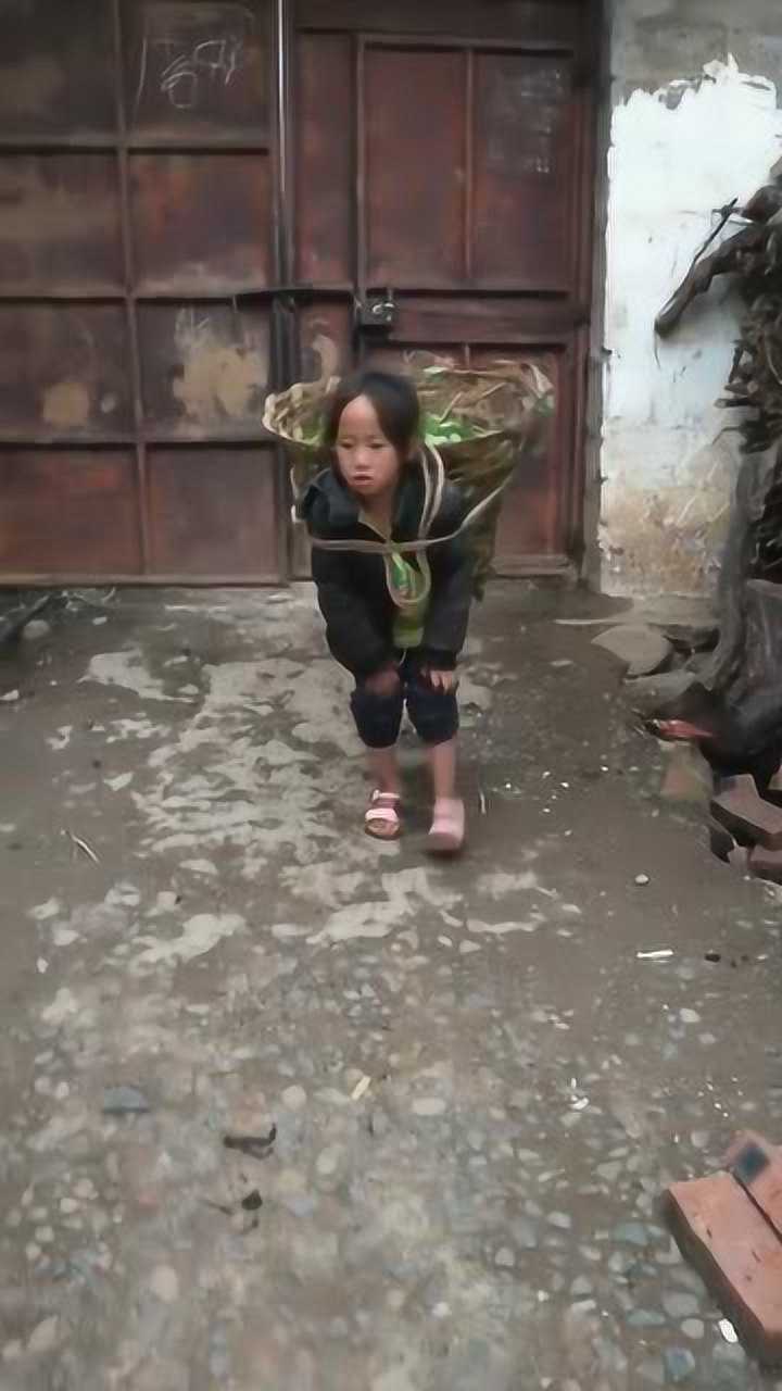穷苦人家的孩子早当家大凉山6岁的小女孩承受了太多的压力